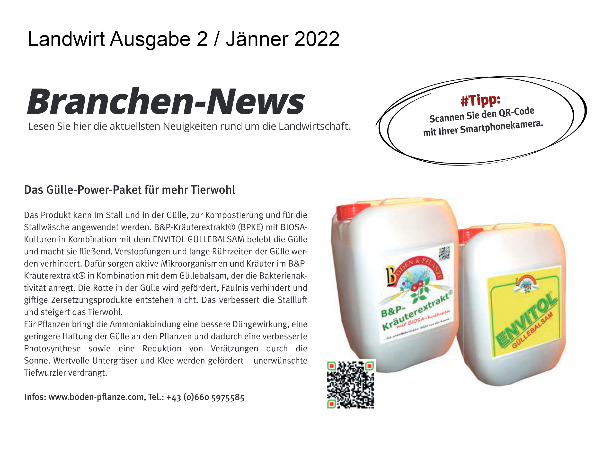 Branchennews22022.jpg